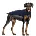 IREENUO waterproof dog coat dog jacket winter windproof warm hundred coat for medium -sized to large dogs with safe reflex strips and adjustable breast straps (2xl blue) 2xl blue