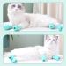 AIFUSI 4pcs Anti-Scratch Cat Claw Covers - Adjustable Silicone Cat Boots in Green for Grooming & Nail Protection - Buy Online on GoSupps.com