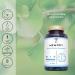 Nootropic Cognitive Enhancer with Coffee, Ginko Biloba, Bacopa & Vitamins - Vegan Certified 60 Capsules by N2 Natural Nutrition - Buy Online on GoSupps.com