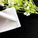20 Pcs Mini Plastic Tweezers Clips for Eyelid Tape and Makeup Tool - Buy Online on GoSupps.com
