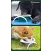 Bepetmia Foldable Reisenapf Bowl for Dogs & Cats | Portable Silicone Travel Water Bowl - 600ml Extra Thick Blue - Buy Online on GoSupps.com