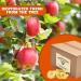 Presto Sales Apple Rings 80 oz. - Fresh Dehydrated Fancy Snack | Mess-Free & Delicious Non-GMO Healthy Snack for All Ages - Buy Online on GoSupps.com