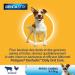 Pedigree Dentastix for Dogs - 1.76 kg Dental Treats | Healthy Teeth & Fresh Breath - Buy Online on GoSupps.com
