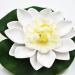 Buy Vectexi Artificial Plastic Lotus Flowers - Floating Water Lily Ornaments for Aquarium & Pond - Set of 3 White - Buy Online on GoSupps.com