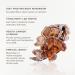 Turkey Tail Mushroom Capsules by Bloomable I Gut Health and Immunity (120 capsules) 120 count (Pack of 1) - Buy Online on GoSupps.com
