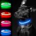 Yfbrite shining dog collar rechargeable LED dog collar flashing dog collar adjustable reflective dog collar safety lights up at night (blue L) Large blue
