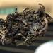 500g JIA JI TUO CHA Dayi Arbre Ancien Th Pu-erh TAETEA Th Pu'er brut classique - Buy Online on GoSupps.com
