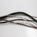 7-10 Thin & Long Salt & Pepper Remix Feathers for Hair Extension - Beautiful Feathers - Buy Online on GoSupps.com