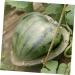 HOMSFOU Fruit Shaping Molds Vegetables Transparent Strawberry Forming Shaping Mould Garden Shaping Molds Fruit Watermelon Moss 17x17cm Transparent - Buy Online on GoSupps.com
