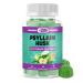 Psyllium Husk Gummies with Inulin Chia, 3 Prebiotic Fiber Supplement for Digestive Health and Regularity, 60 Count