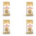 Royal Canin Bengal Adult Dry Cat Food 4 x 400g