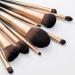 OXOAMP Makeup Brush Eye Shadow Eyeliner Brush Foundation Blush Blending Brow Brush Makeup Brush Set Gradient 10 Pieces Foundation Brushes - Buy Online on GoSupps.com