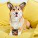 GastroBalance Dog Constipation treatment 60 laxative soft chews Natural dog stool softener (Bacon flavour) - Buy Online on GoSupps.com