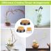 CfoPiryx Flower Frog and Pin Holder Set - 5pcs Metal Flower Arrangers with Needle Straightener - Plant Decoration Fixation Kit - Buy Online on GoSupps.com