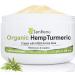 Organic Hemp Cream Large (4 oz) Value Size by ZenRenu - MSM Turmeric Arnica - Made in USA Premium Hemp Oil