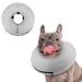 Supet Rewrise dog leak protection for protective collar dogs soft collar dogs after op inflatable fragrance for dogs gray xl xxl: neck circumference: 45.6-58.4 cm gray