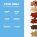 ZINBI Oral Irritation Chewing Gum (12 Count) - Natural Pain Relief for Canker Sores & Mouth Ulcers - Buy Online on GoSupps.com