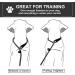 Dog Slip Leads Leash 4.5FT Durable Puppy Rope Leashes Collar Nylon Dog Training Walking Lead Leashes for Small Medium Dogs (Black) Black Medium - Buy Online on GoSupps.com