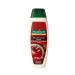 Shop Palmolive Brilliant Color Shampoo 350ml - Perfect for Coloured Hair Care | International Shipping Available - Buy Online on GoSupps.com