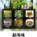 Pu-erh tea 2015 early spring tea 357g Raw - Buy Online on GoSupps.com