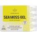 HERBAMAMA Sea Moss Gel 12 oz - Organic Wildcrafted Irish Sea Moss Supplement for Thyroid, Skin, Hair Support - Vegan Dr Sebi Approved - 12 Ounce Organic Raw Gel - Buy Online on GoSupps.com