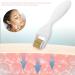 Healeved Derma Roller Scalp Hair Roller Micro-needle Roller Massager with 3 Size Needle Head 0.25mm 0.5mm 1.0mm for Hair Beard Facial Skin Face Cosmetic Beauty Instrument - Buy Online on GoSupps.com
