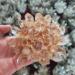 Home Decoration 400-800g New Find Natural Beatiful Yellow Tibetan Quartz Crystal Cluster Specimen Stones (Size : 700-800g) - Buy Online on GoSupps.com