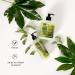 Ebers Aloe Vera Gel 100% Pure 500ml - Moisturizing Cream for Face Body Hair Care & Shaving - International Shipping Available - Buy Online on GoSupps.com