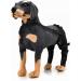 Dog Knee Brace Pet Dog Hind Leg Brace Support Belt Pet Dog Double Hind Leg Brace Support Belt for Heals Prevents Injuries Sprains Protects Wounds. C Medium - Buy Online on GoSupps.com