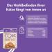 Wellness Core Tender Cuts Cat Food - Grain Free Wet Sauce High Meat Content Turkey Selection Mix (6 x 85g Pack) - International Shipping Available - Buy Online on GoSupps.com