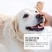 Reavet Ear Drops with Colloidal Silver 50ml - Effective Ear Care for Dogs & Cats | Relieves Inflammation Itching & Fights Germs - Buy Online on GoSupps.com