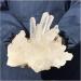 Natural Crystal Rough Crystal Cluster Natural Transparent White Quartz Crystal Cluster Specimen (Size : 500-600g) - Buy Online on GoSupps.com