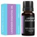 Lavender Essential Oil by Unblended 30ml 100% Pure Steam Distilled Natural Aromatherapy Oil for Diffuser Sleep Relaxation & Skin