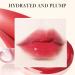 4 Colors Lip Stain Tint Set - Long-Lasting, Moisturizing Glossy Lip Stain with High Pigment - Waterproof and Non-Sticky Formula - Buy Online on GoSupps.com
