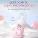  SOYDAN Mild Face Wash - Moisturizing Face Wash 100ml with Gentle Cherry Face Foam | Face Dirt Removal for Home Travel Dorm Travel - Buy Online on GoSupps.com