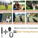 Dog Training Kit Puppy Dog Treat Pouch Bag with Dog Clicker and Silent Whistle with Lanyard Hands-Free Training Dog Treat Pouch Includes Carabiner for Pet Puppy Travel or Outdoor Use (Red) Red-2 - Buy Online on GoSupps.com