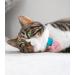 Kittyrama Reflective Cat Pendant | Security Cat Brand | Waterproof Light & Visible | Fits All Reflective Cat Neck Bands | Heart Styles Available - Buy Online on GoSupps.com