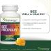 Vitanergy High Extract Bee Propolis Mitigate Minor Inflammations Antioxidant Support 500mg with High 2:1 Extract Rate Nutrient Rich Bee 90 Capsules Made in Canada - Buy Online on GoSupps.com