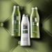 Recamier Salon In Shampoo y Acondicionador Ultra Force (pack 2) Salon In 300mL Shampoo Recamier Y Acondicionador Recamier Ultra Force Salon In - Buy Online on GoSupps.com