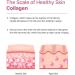 Multi Collagen Premium Toner for Dry Skin | pH Balancing with Niacinamide & Guava Leaf | K-Beauty Cruelty Free | 6.67 fl oz - Buy Online on GoSupps.com