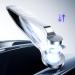 Nose Hair Clipper Nose Hair Trimmer Anti Slip Round Tip Shavers Precise For and Dry Shaving Sensitive Skin Care Travel Body and Ear - Buy Online on GoSupps.com