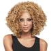 FOReverweihuajz Women's Synthetic Curly Afro Wig for Cosplay Costume | #2 - Shop Internationally - Buy Online on GoSupps.com