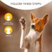 Artero Styptic Powder - Fast-Acting Solution for Pet Grooming | Shop Now - Buy Online on GoSupps.com