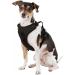 Littlearth NHL Boston Bruins Front Clip Pet Harness - Team Color, Small - Buy Online on GoSupps.com
