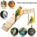 Vogel Parrot Swing & Vibrant Pencil Rods for Hamsters Birds and Exotic Pets - Wooden Climbing Platforms & Toys for Parrots Chinchillas and Budgies - Buy Online on GoSupps.com
