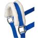 Buy RL24 Halter with Plush Padding | BASICLINE - 6 Colors for Shetland Pony Thoroughbred & Warmblood - Royal Blue - Buy Online on GoSupps.com