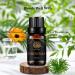 100% Pure Calendula Essential Oil - Therapeutic Grade 10ml for Diffusers Massage & Skin Care | Aromatherapy & Humidifier Use - Buy Online on GoSupps.com