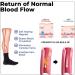 Alvo Feet Socks for Varicose Veins Alvo Feet Tourmaline Acupressure Self Heating Socks Diabetic Socks Women and Men (6PAIR Black) 6PAIR Black - Buy Online on GoSupps.com
