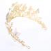 Brishow Crystal Butterfly Wedding Crown - Gold Rhinestone Tiara for Women and Girls | Flower Queen Hair Accessory - Style1 - Buy Online on GoSupps.com