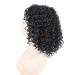 BGHJUE Short Curly Wig - Brazilian Lace Front Human Hair Wig with Baby Hair 35cm Black - International Shipping - Buy Online on GoSupps.com